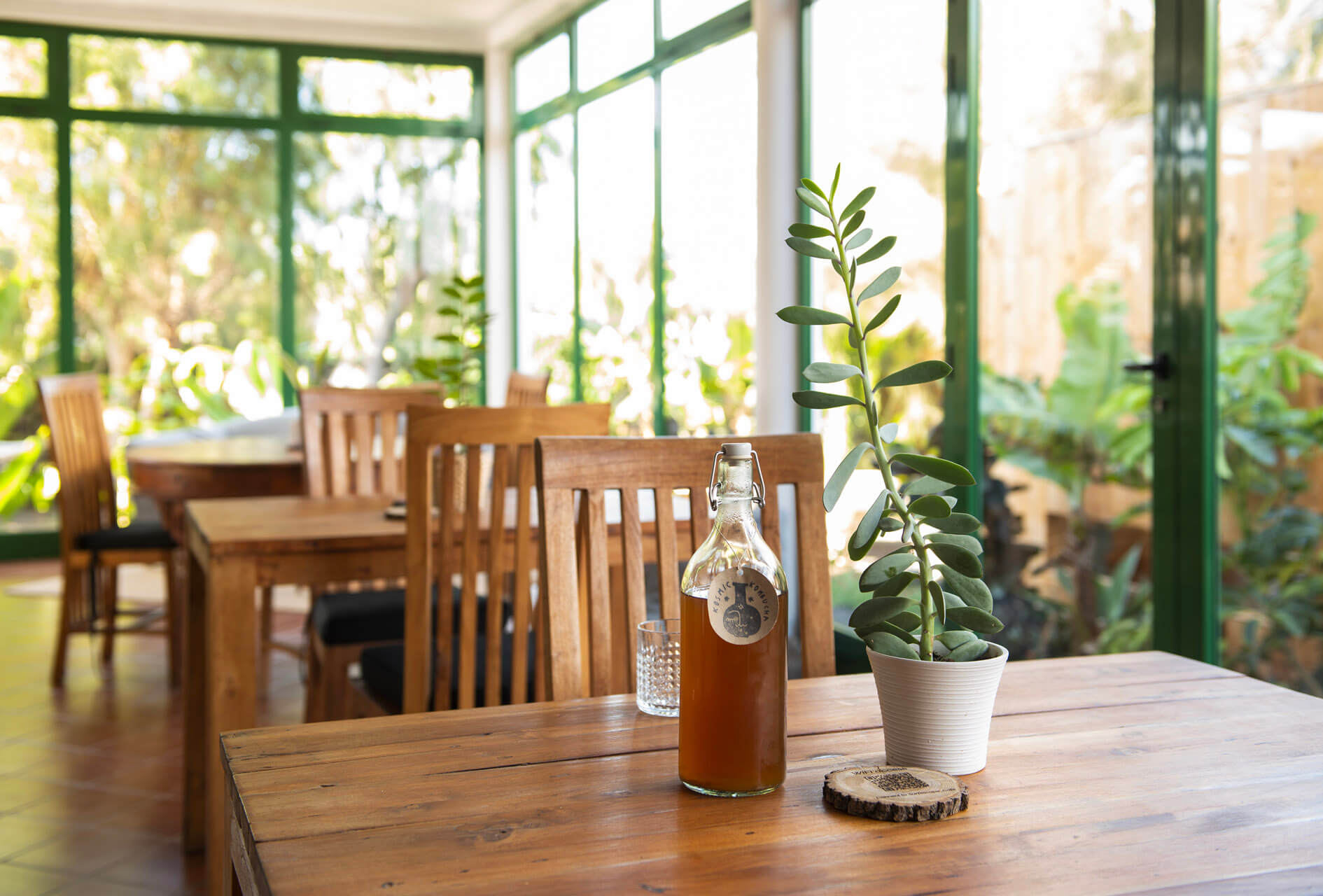 Botella de kombucha y una planta en maceta sobre una mesa de comedor de madera en una luminosa sala-jardín de paredes de cristal
