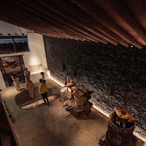 兰萨罗特:酒庄格里福葡萄酒爱好者之旅门票 - 圣巴托洛梅