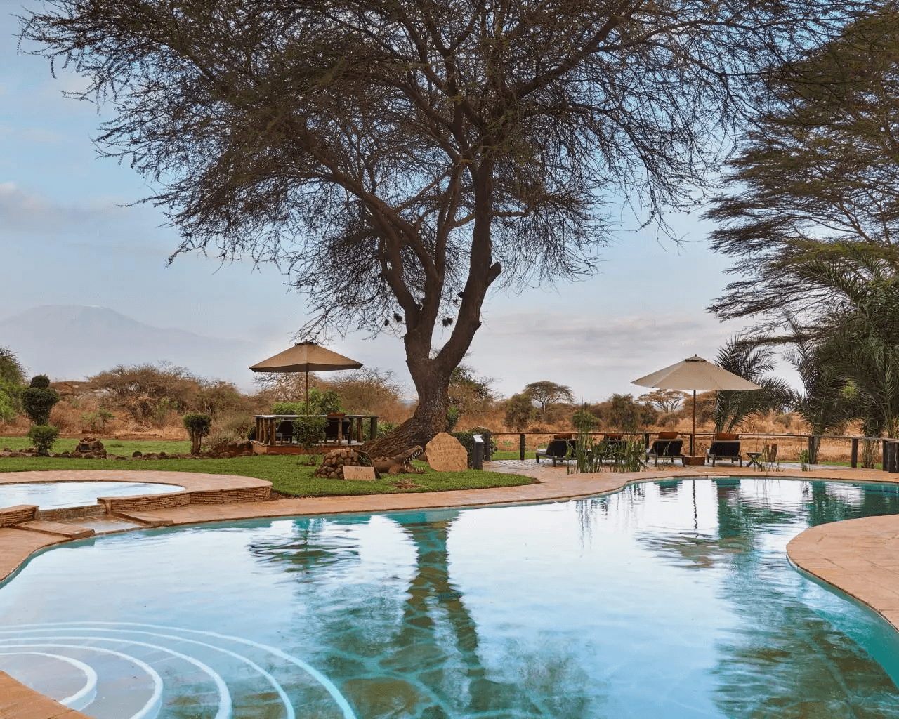 Tawi Lodge Pool