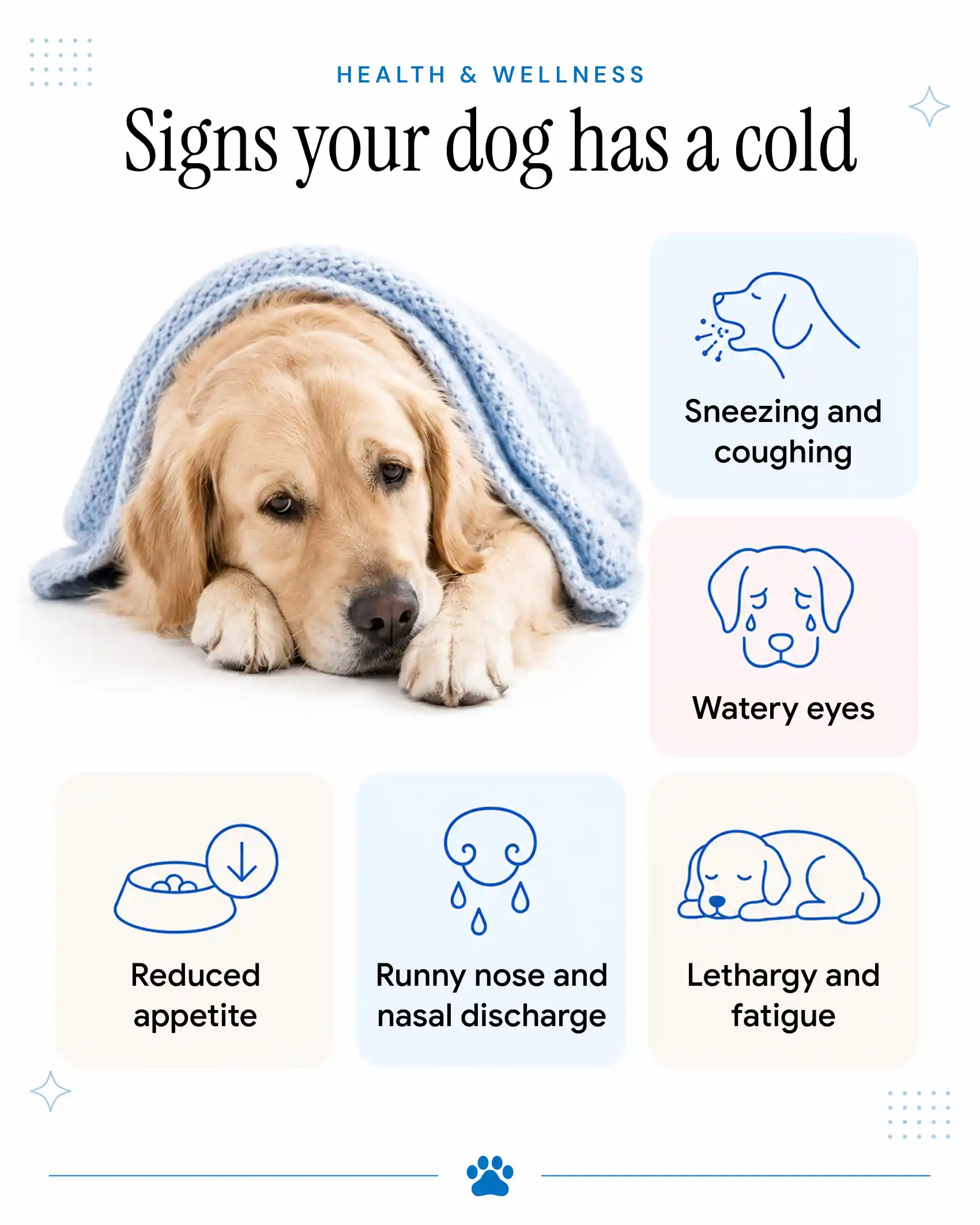 Signsn your dog has a cold.