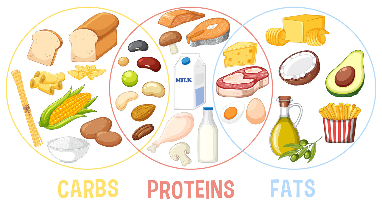 macros for weight loss