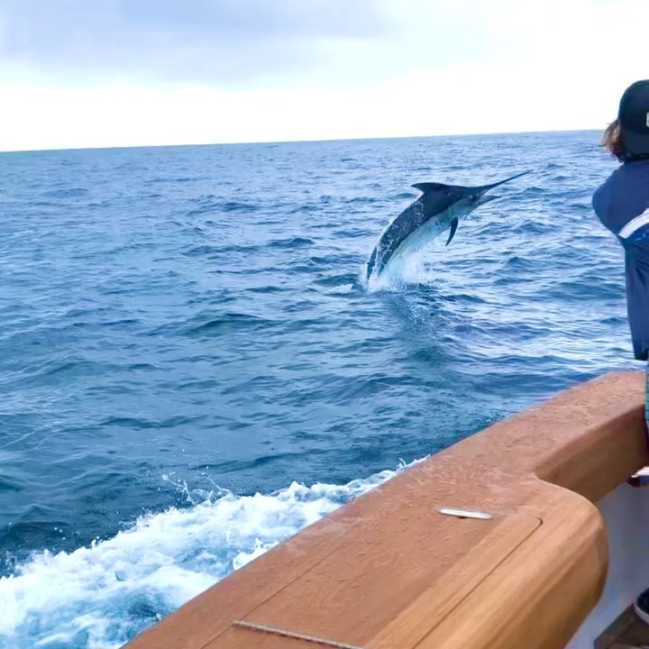 Marlin