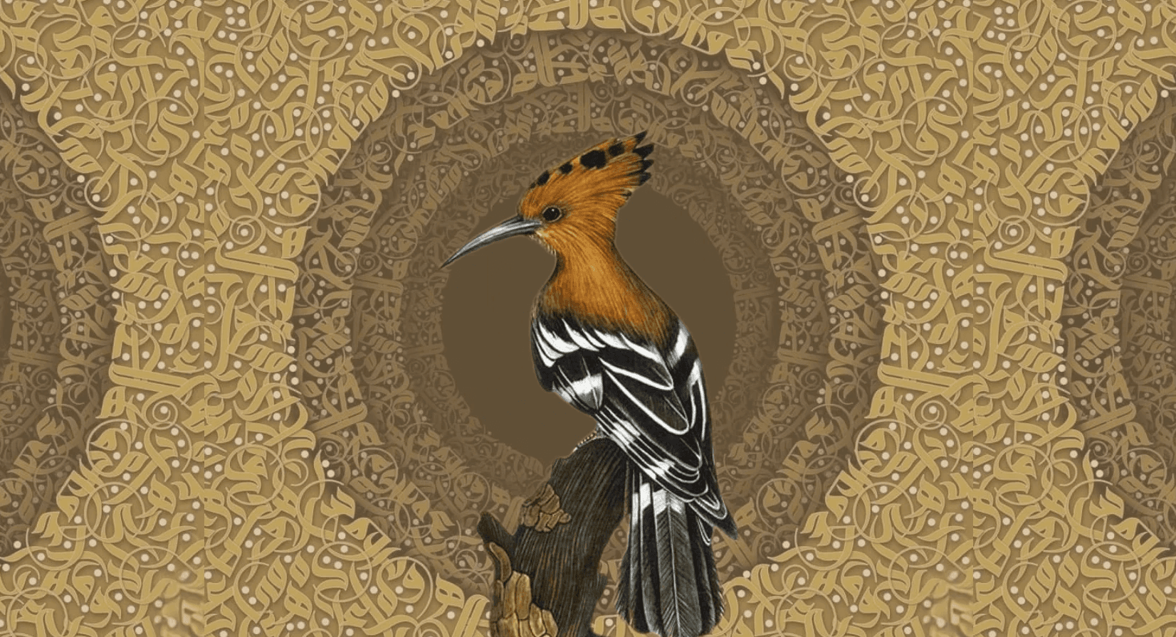 Illustration d'une huppe