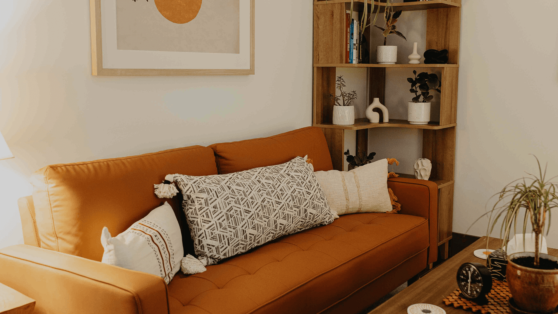 City Park Vet Brand Design with a background of a Vet hugging a puppy