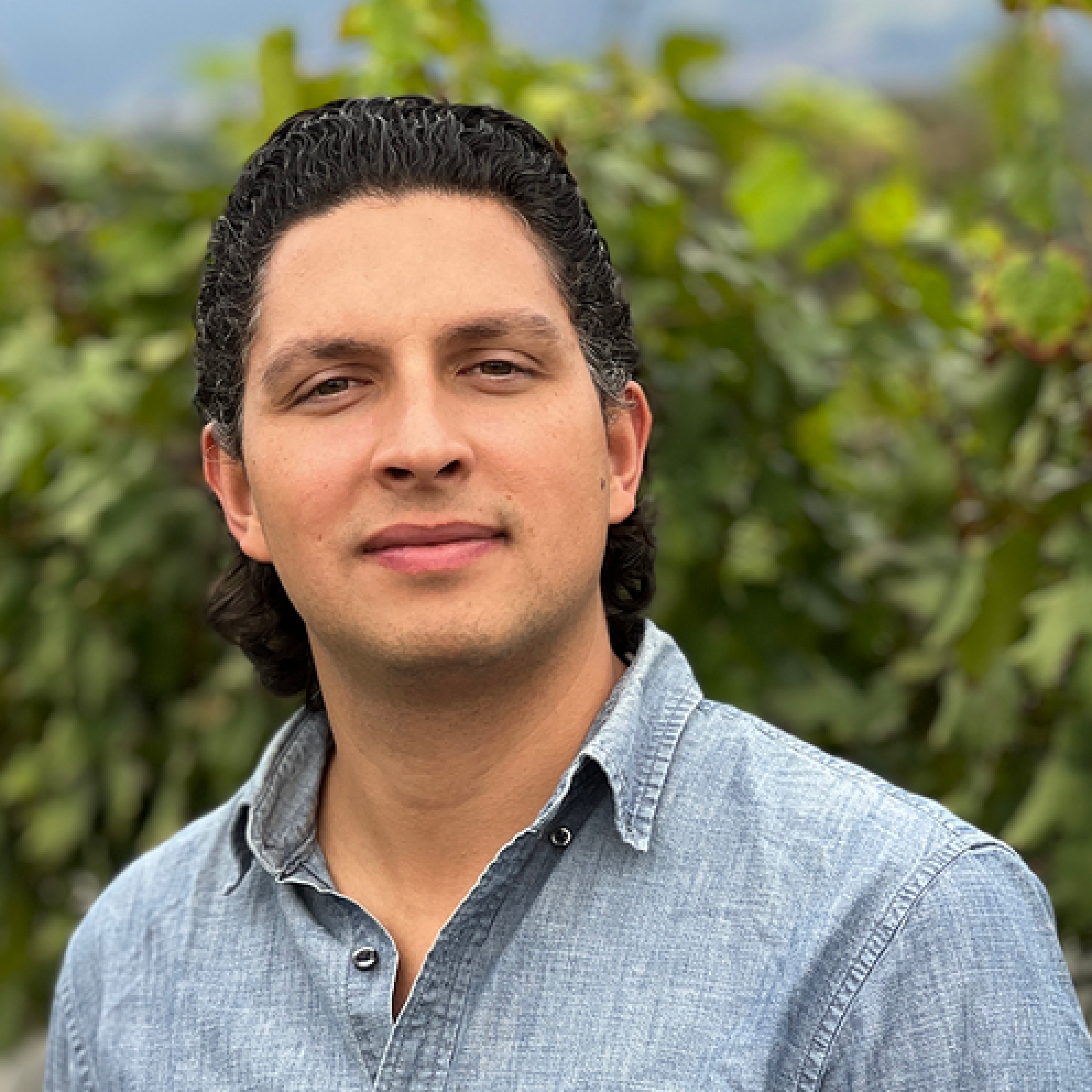 Luis Brecci