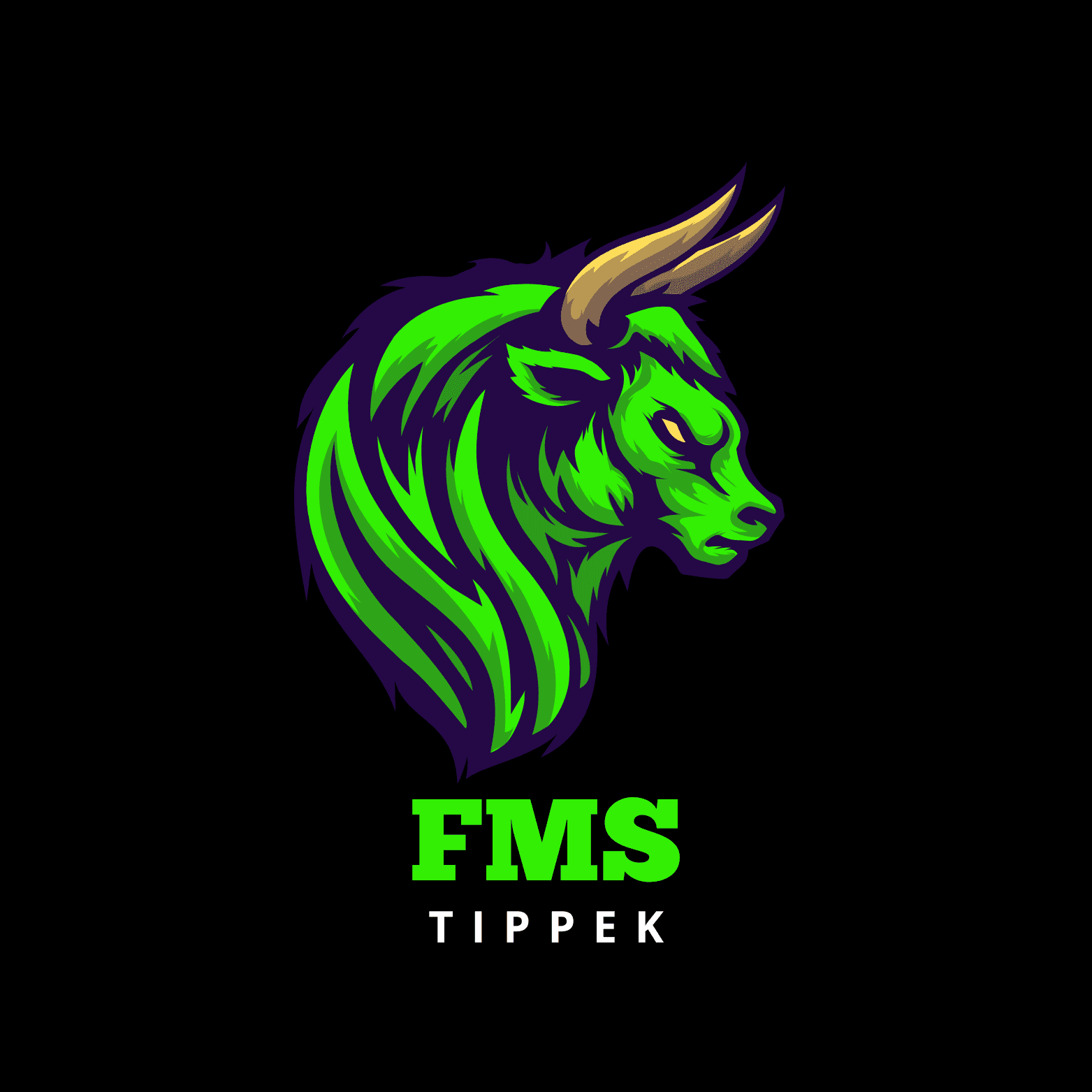 FMS Sport