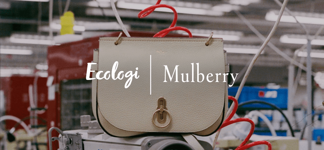 Mulberry