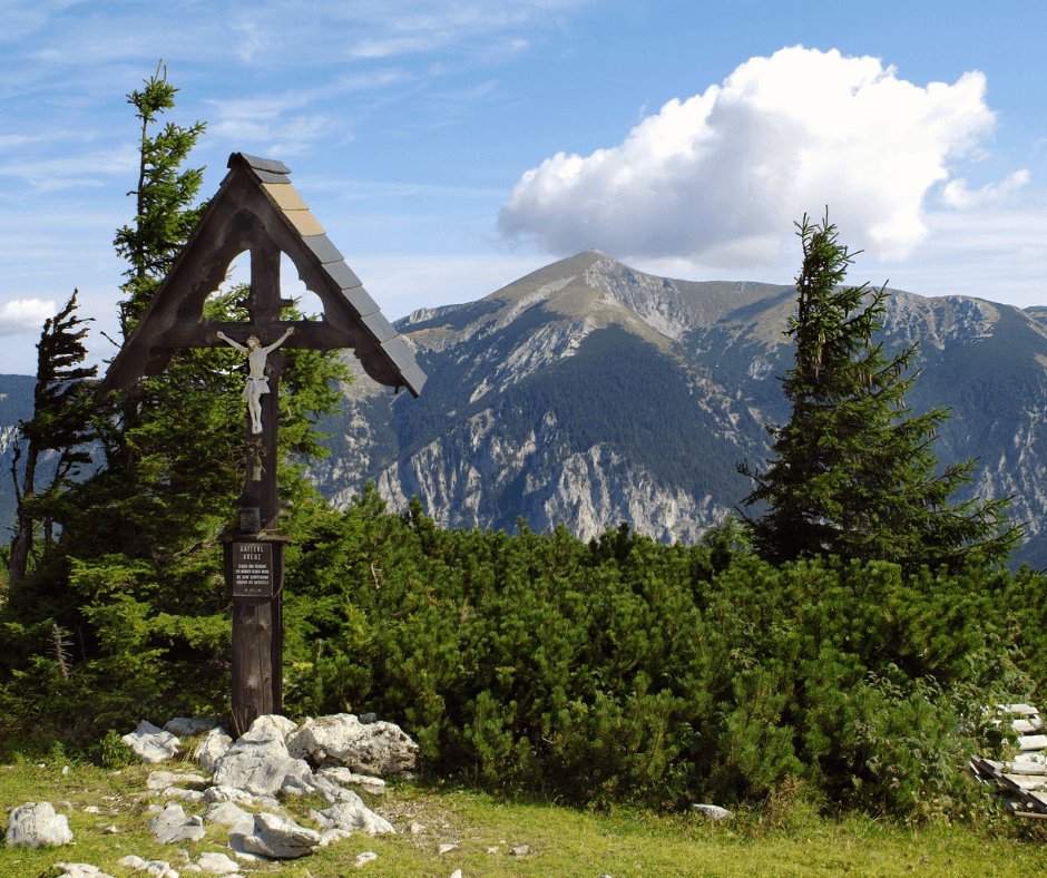 Förderung Niederösterreich