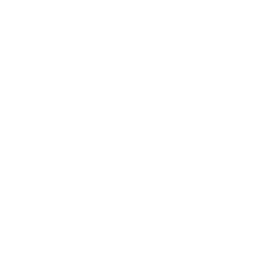 PayPal Logo: Secure Online Payments