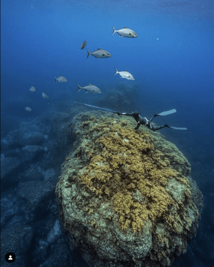 freediver spearfishing aiming at a fish underwater