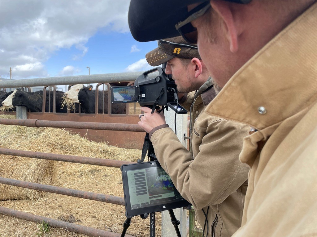 Rogue Cowboys field work on horseback