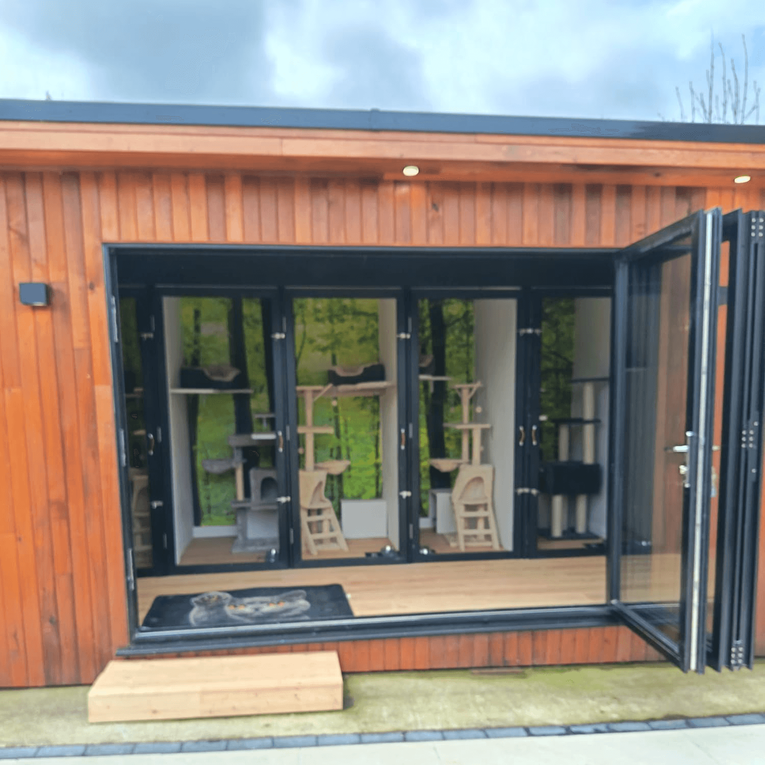 Cattery for Olivia's cattery in Navan Co.Meath