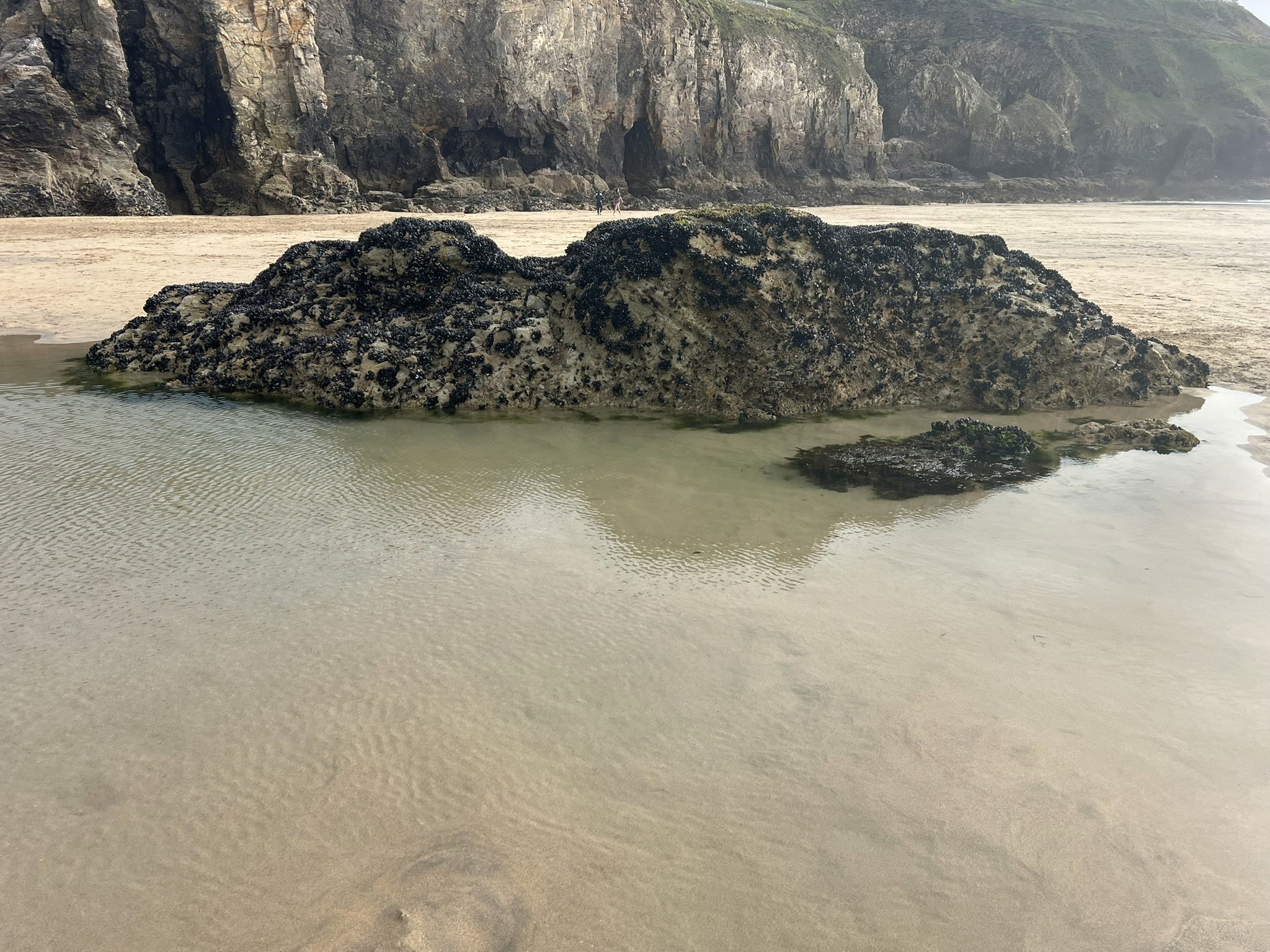 blue sky and white clouds over the sea
