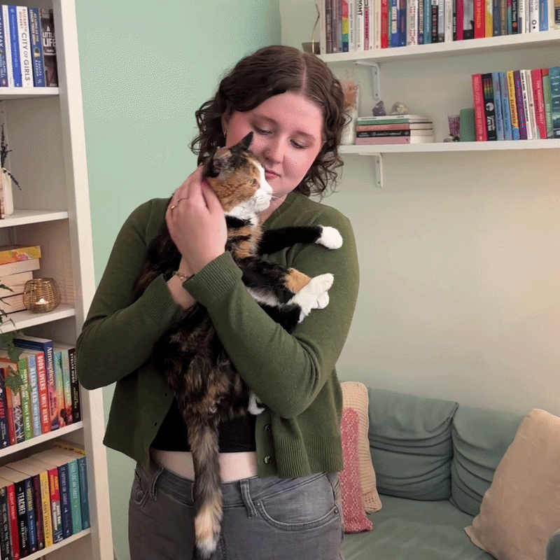 What does it mean to be a cat sitter?