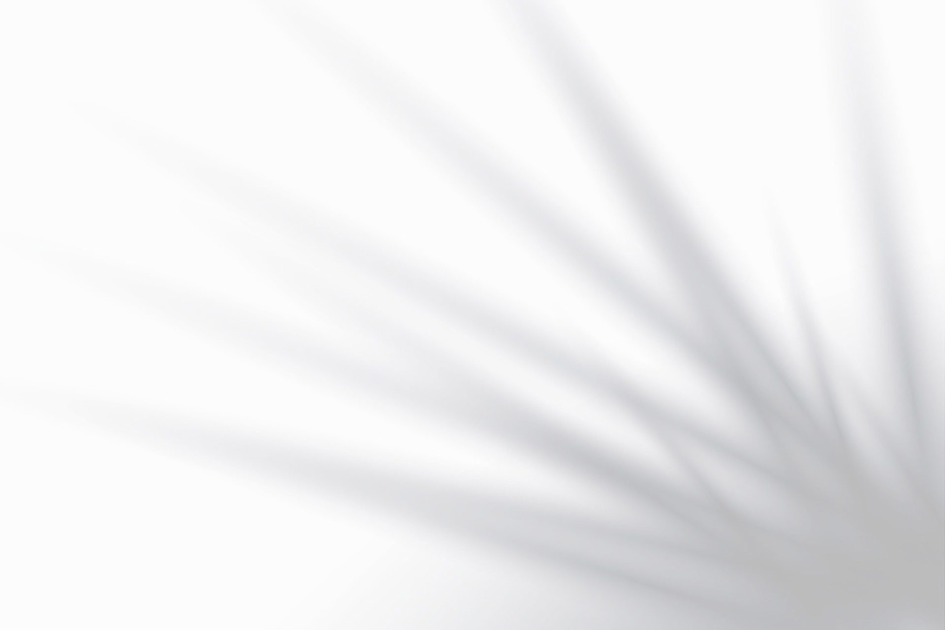 Shades of a plant on a white wall of a luxury villa in Ibiza