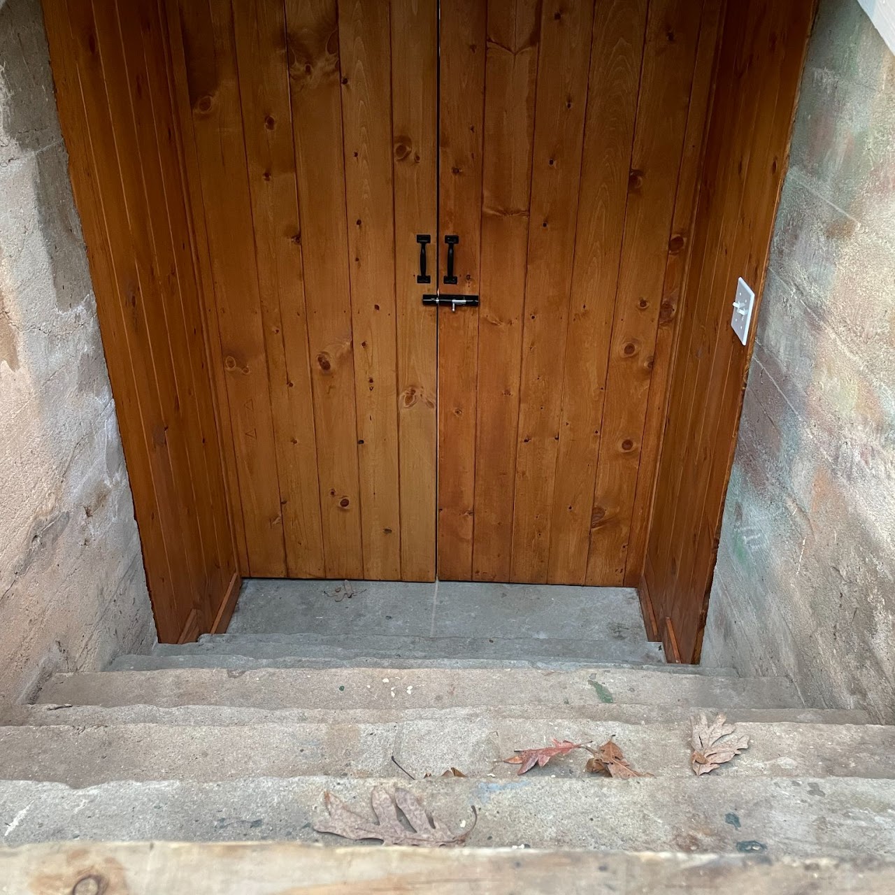 Stained pine bulkhead basement doors with black hardware over stone steps