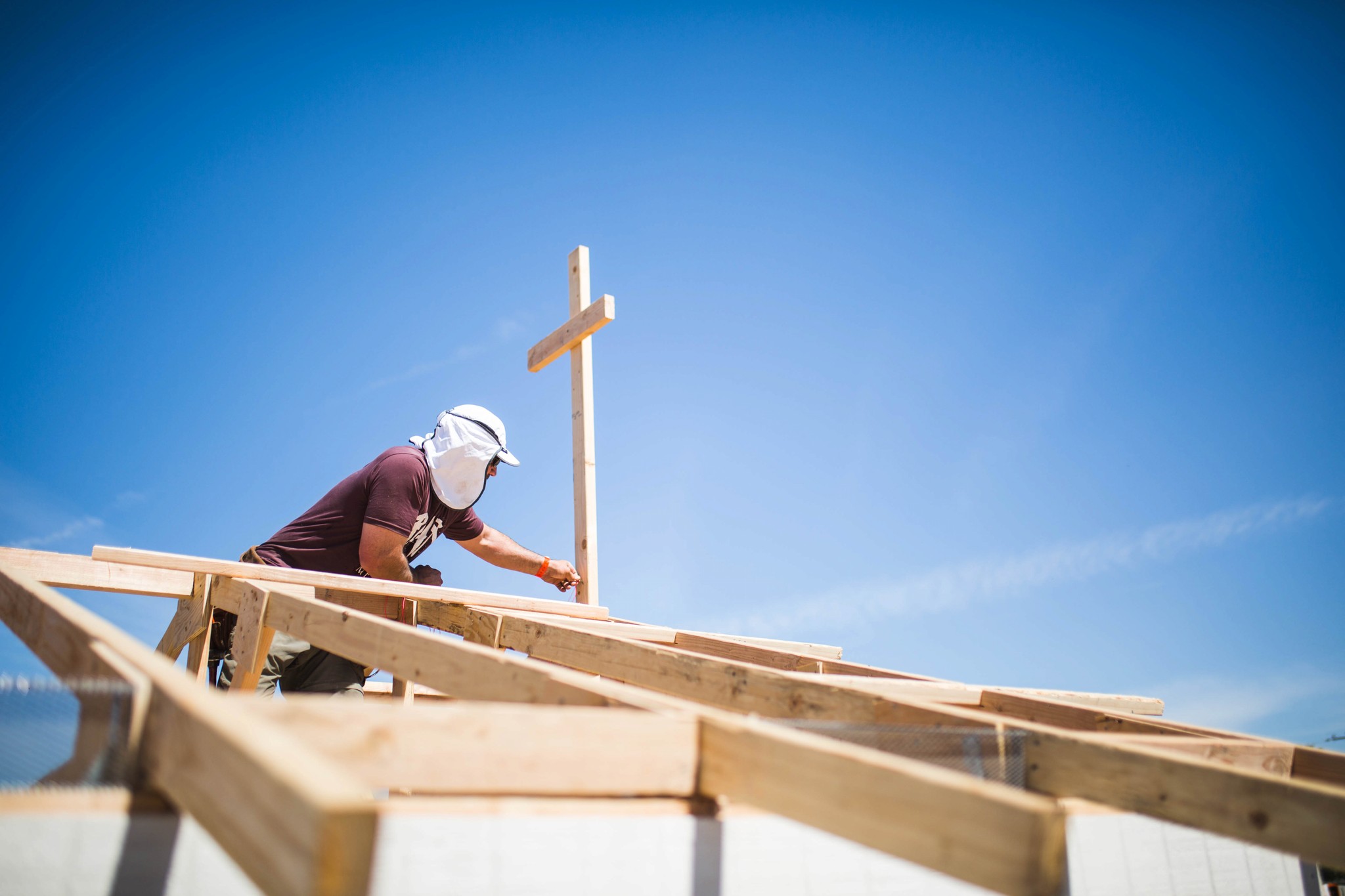 desert with dried out trees