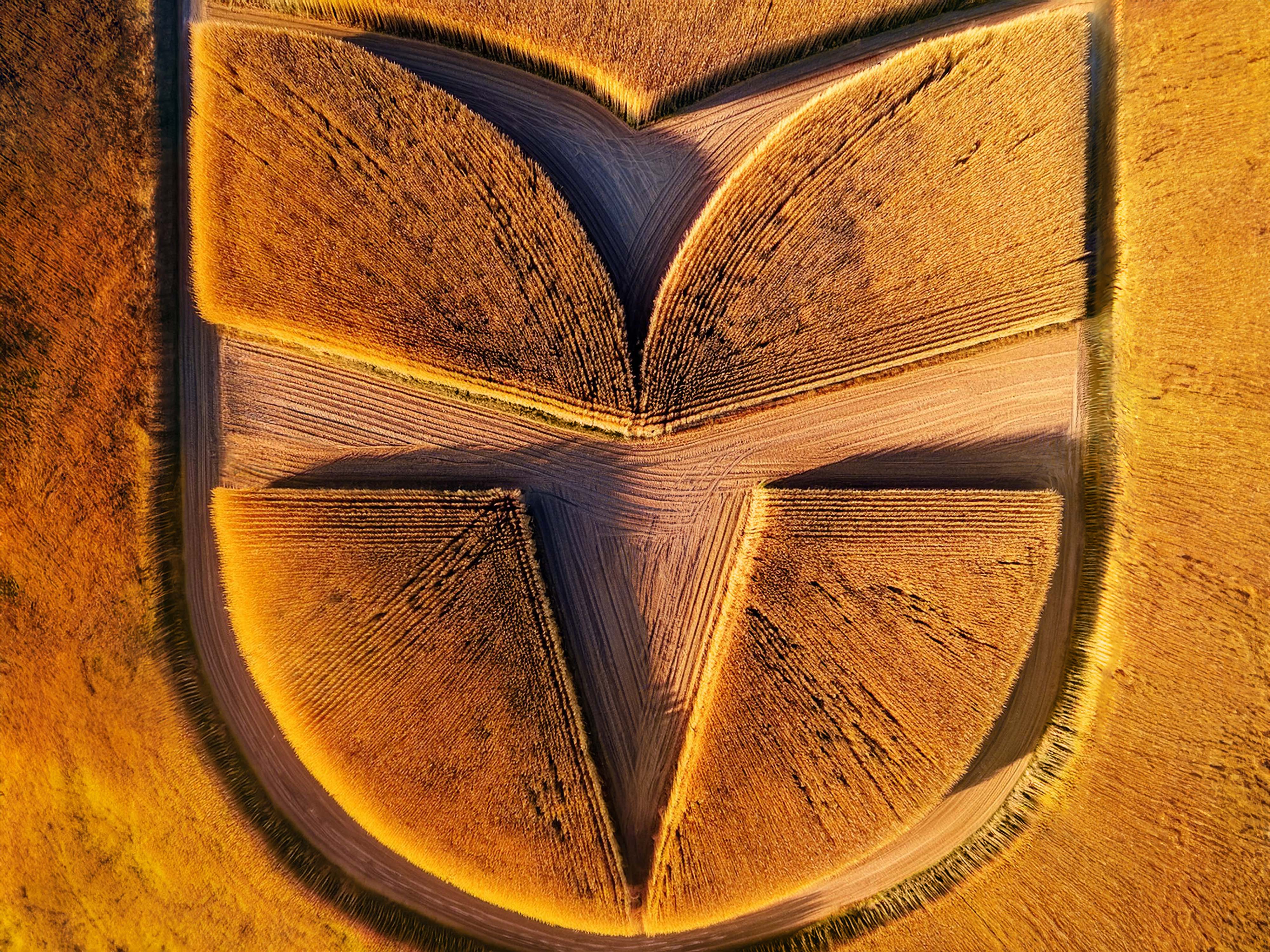 Aerial drone photograph of harvested crop fields shaped into the shield-like company emblem - Szekszárd Agricultural Group, an agricultural brand identity.