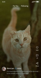 Pet food store website design