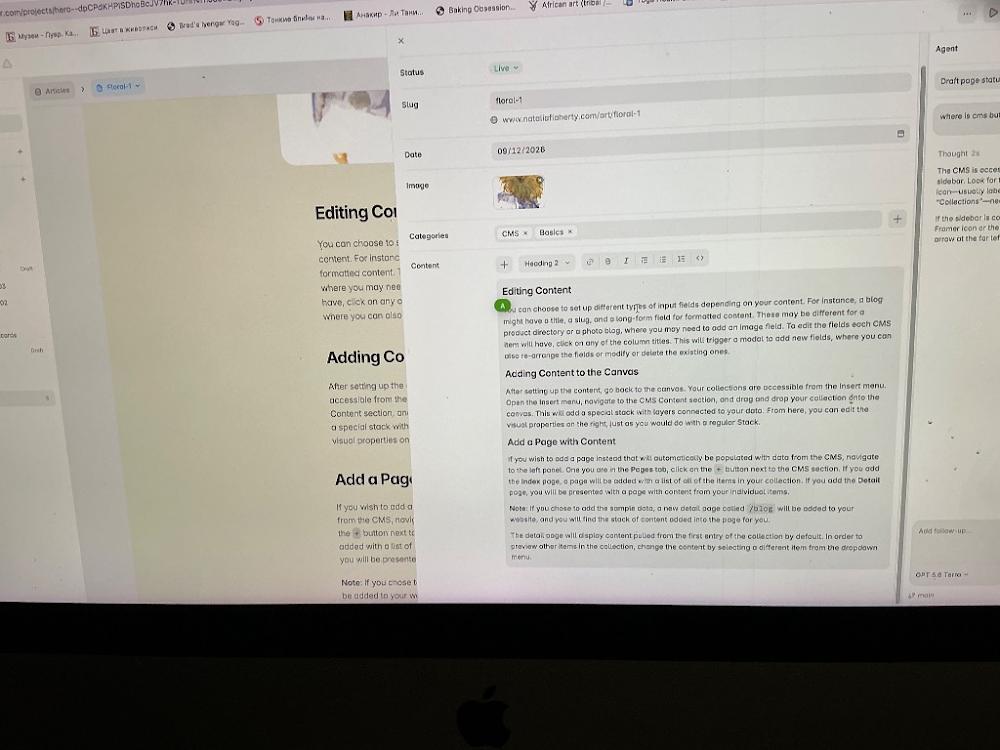 Visually searched image