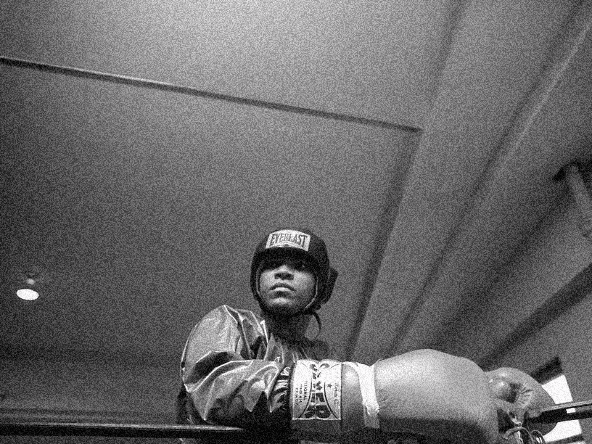 Abstract solo flower 