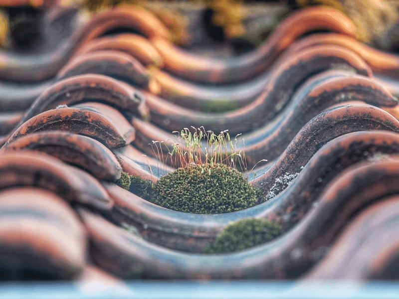 Cleaning gutters