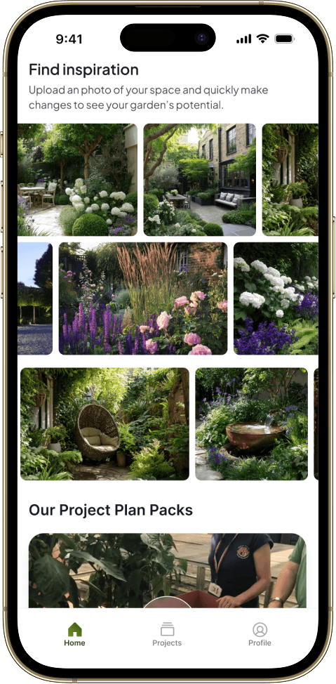 Phone mokcup of spacelift