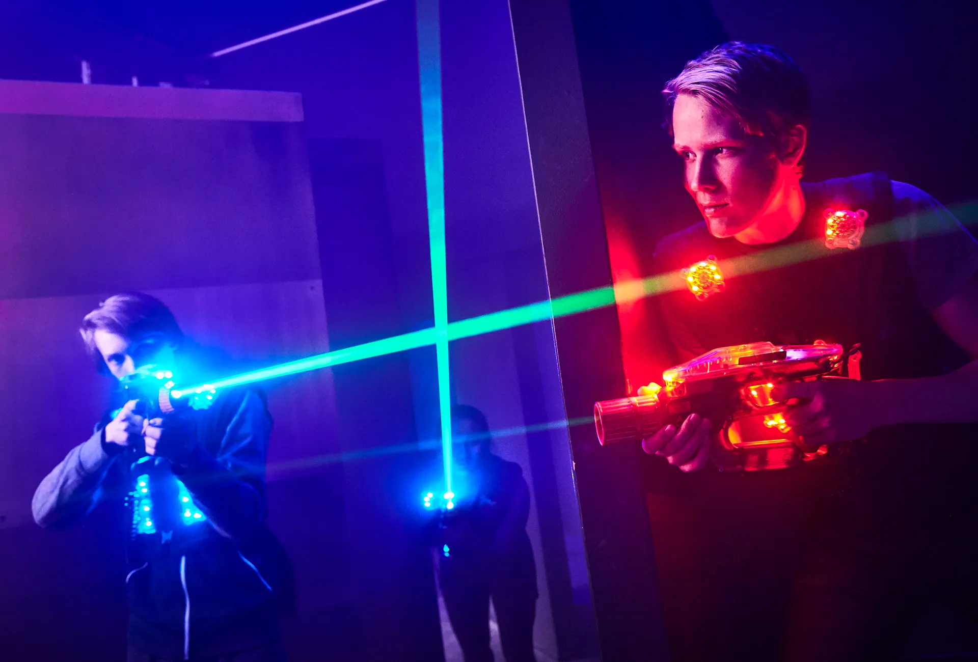 Close-up of lush, dark green leaves, some glossy and wet, against a muted background.