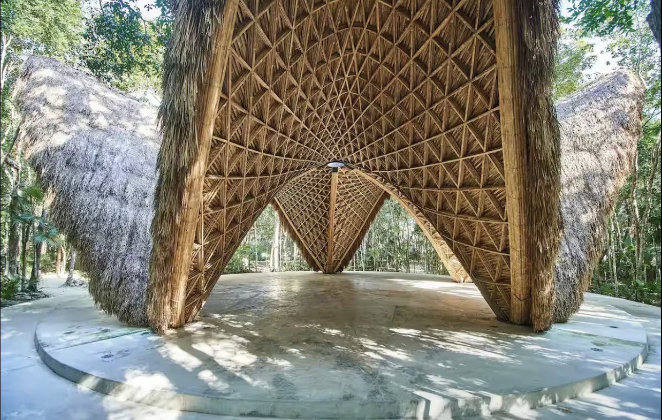 Cozy reading nook with sofa, chair, and plants inside a glass cabin with mountain forest views.