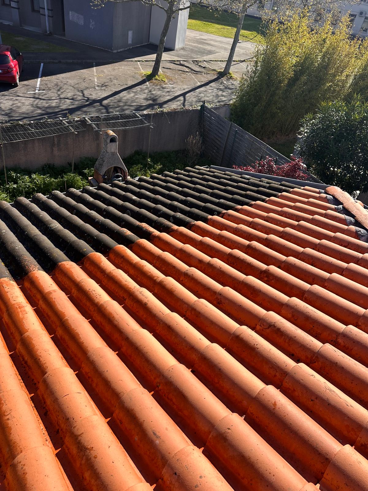 Landscaper and Landscaping gardening service template framer by real mehedi