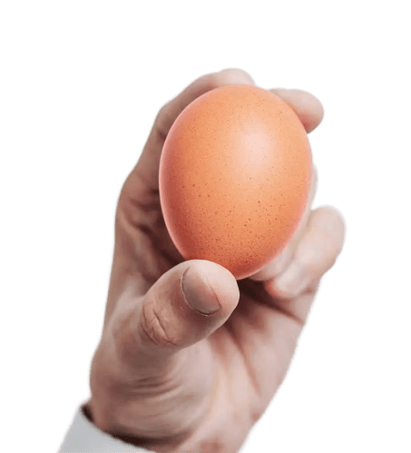 A hand holding a brown egg against a light gray background, emphasizing the smooth texture and natural color of the egg.