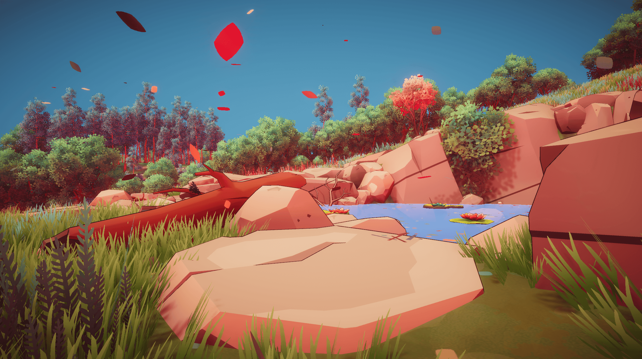 Rear view of black car