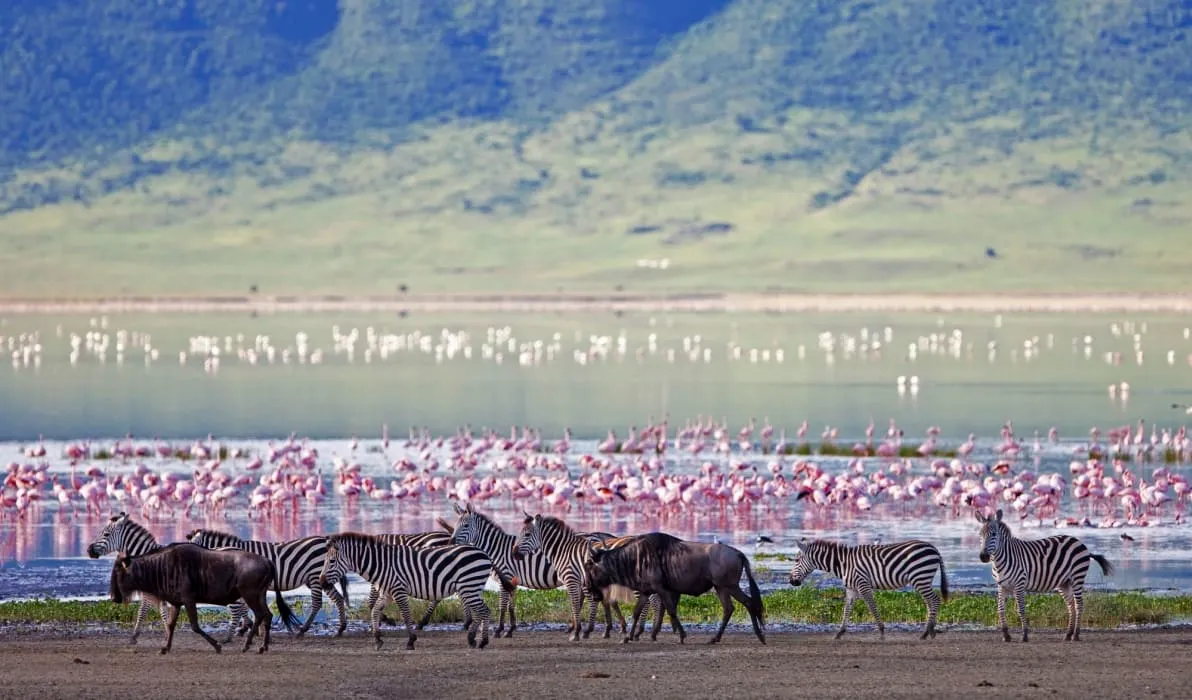 Ngorongoro Crater Area in Tanzania
