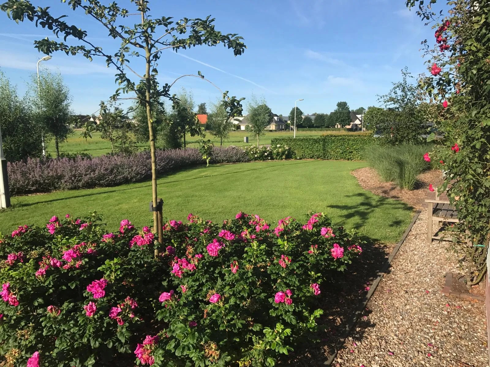 Groen gazon met bloeiende struiken en bomen, passend bij tuinonderhoud in Gorredijk / Friesland