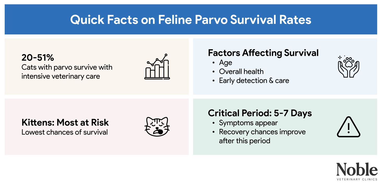 An infographic showing quick facts on the survival rate of feline parvovirus.