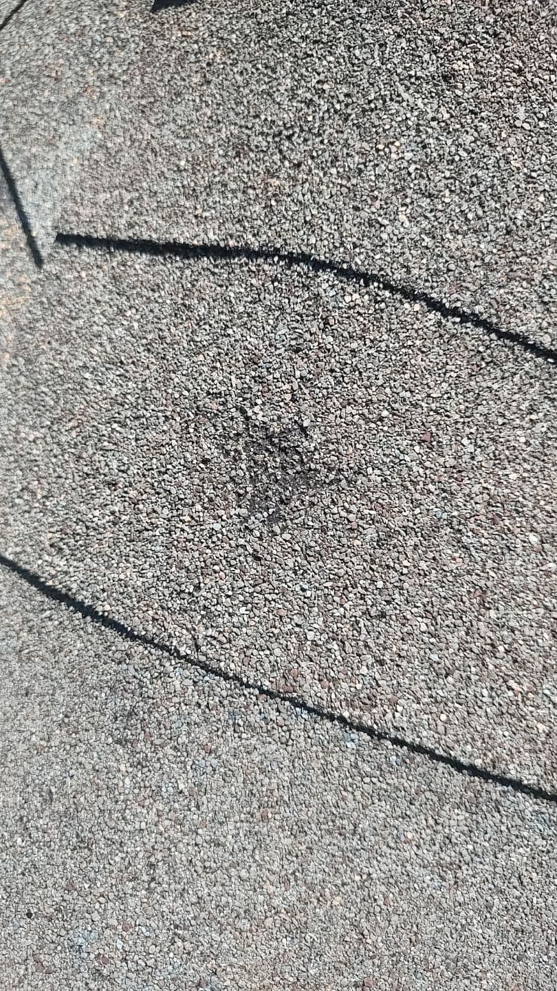 Close-up of hail bruising on an asphalt shingle roof in Dallas