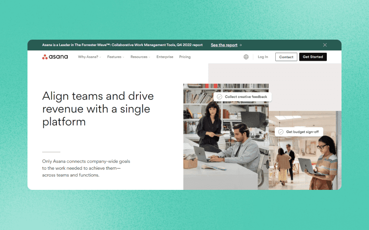 Asana homepage