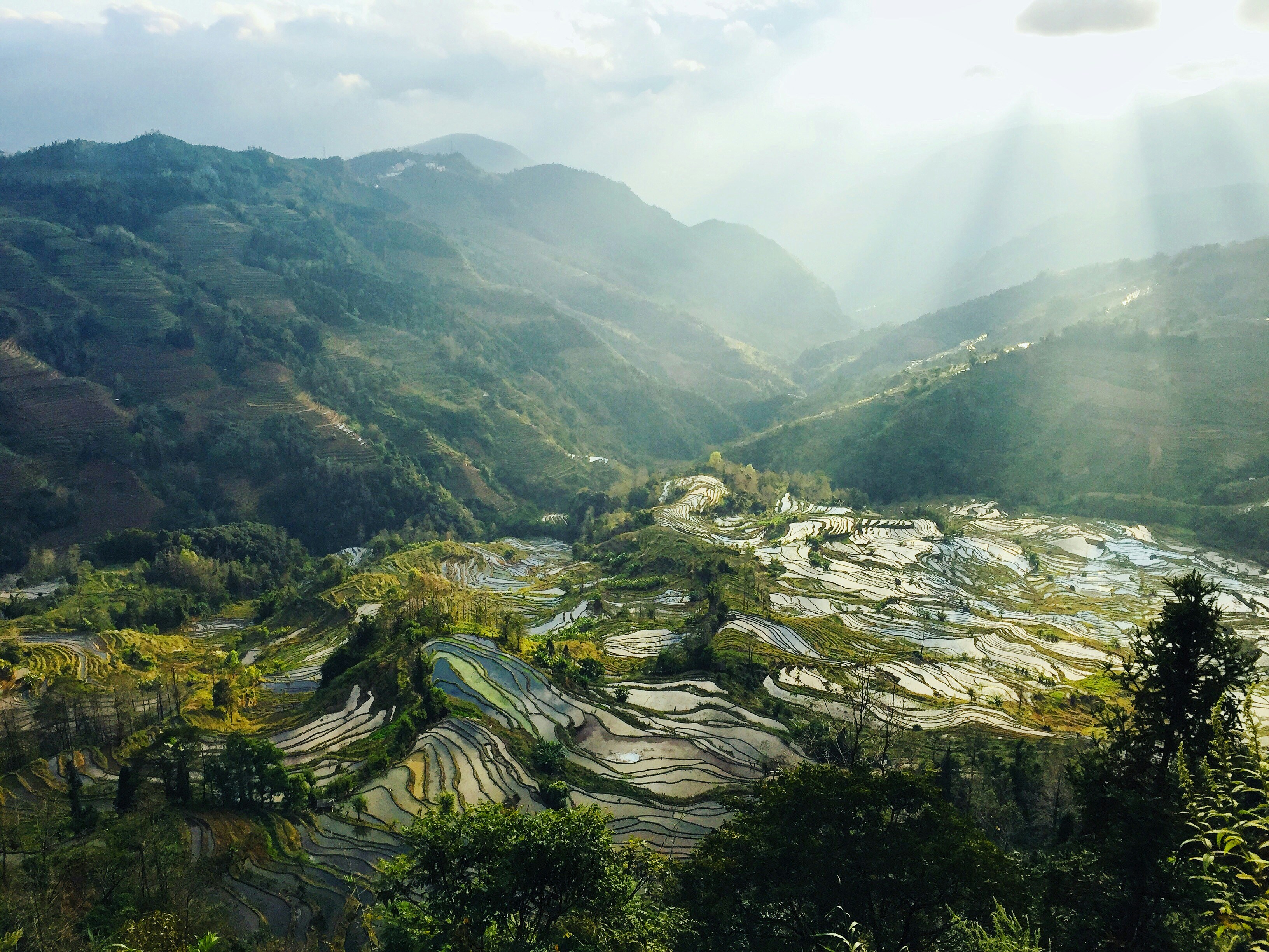 China landscaping