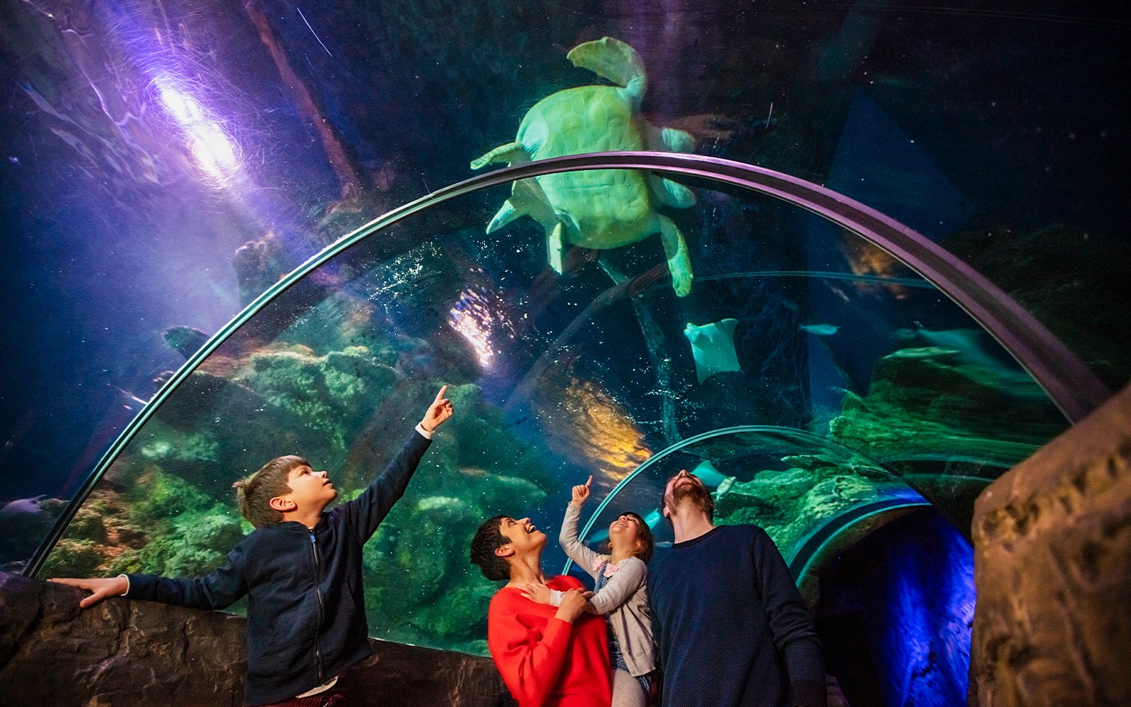 Visitors observing marine life at SEA LIFE London Aquarium.