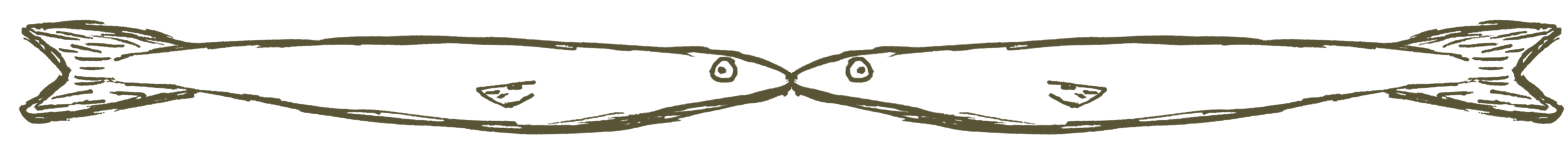 simple line drawn illustration of two sardines laying mouth to mouth so that they kiss