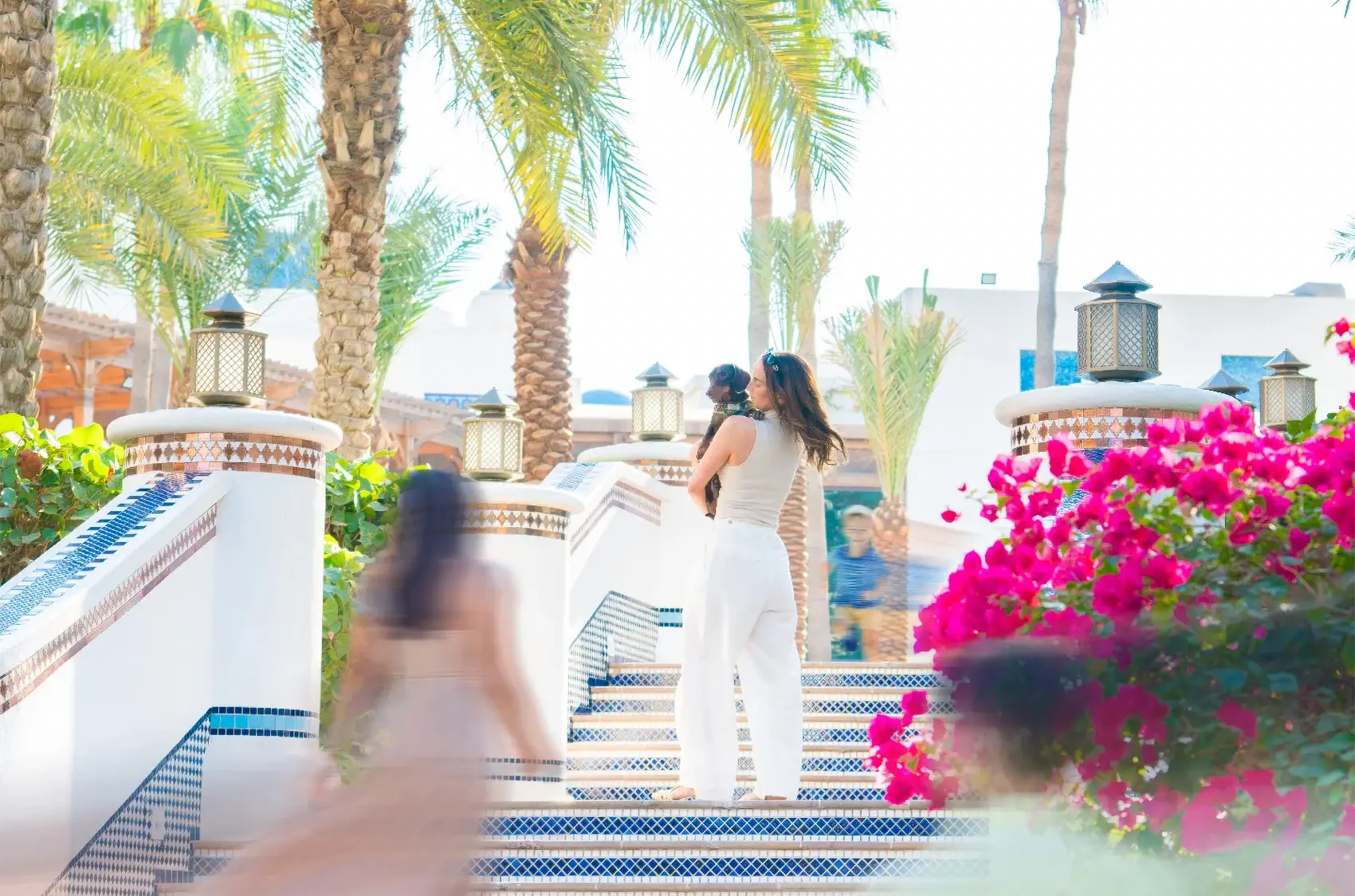 The waterfront grounds of Park Hyatt Dubai, a pet-friendly hotel along Dubai Creek with lush landscaping