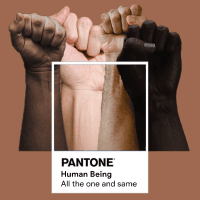 Artwork - Pantone