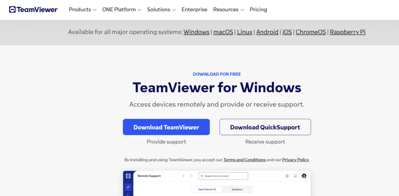 install TeamViewer