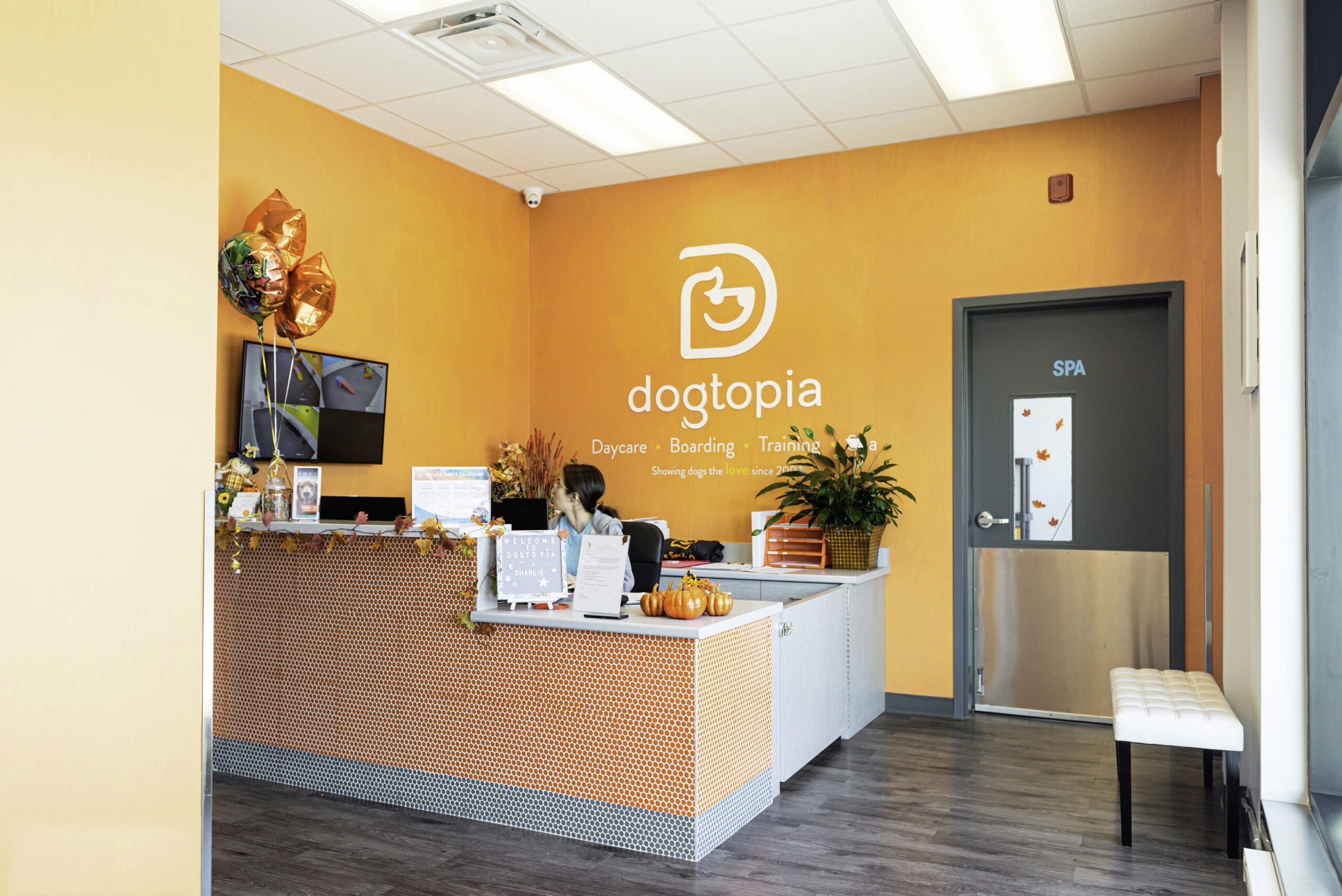 inside Dogtopia office 1 person inside in the orange color office,waiting the customer 