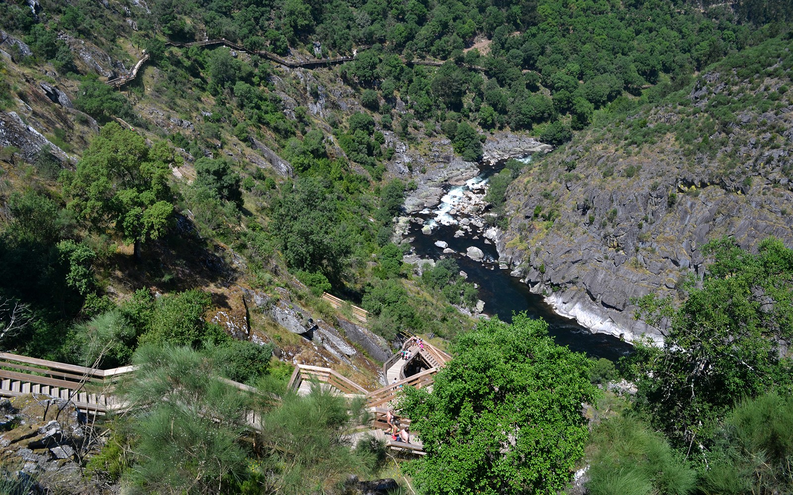 Paiva Walkways winding through lush valley near 516 Arouca Suspension Bridge, Portugal.