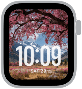 blossom range Apple Watch face preview 2 featuring floral and spring.