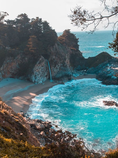 Neighborhood's highlights