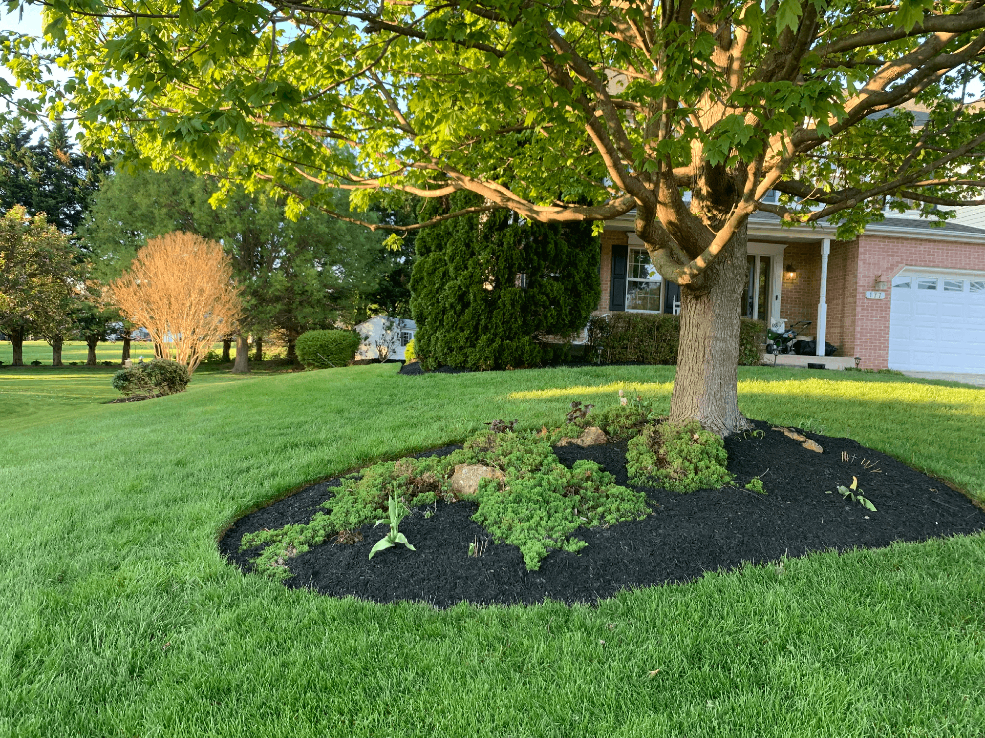 Mulching around a tree in Carroll County