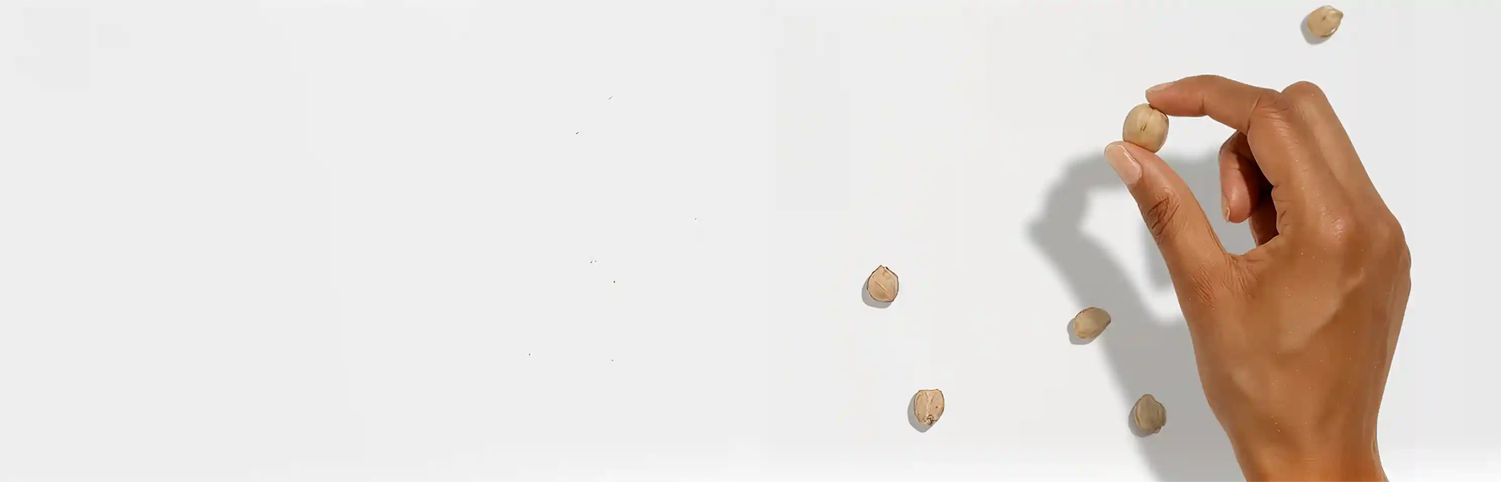 Banner image of hand holding a single garbanzo bean surrounded by sparse amount of other garbanzo beans