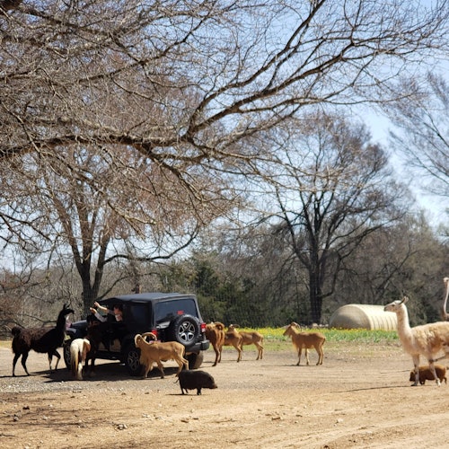 تذاكر دخول سفاري فرانكلين للقيادة: تذاكر الدخول في فرانكلين